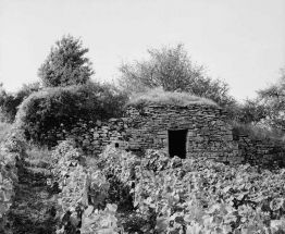 Vue d'ensemble de la cabane et du mur de soutènement. © Région Bourgogne-Franche-Comté, Inventaire du patrimoine