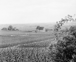 Vue générale. © Région Bourgogne-Franche-Comté, Inventaire du patrimoine