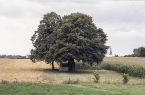 Site. © Région Bourgogne-Franche-Comté, Inventaire du patrimoine