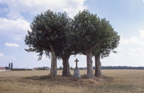 Site © Région Bourgogne-Franche-Comté, Inventaire du patrimoine