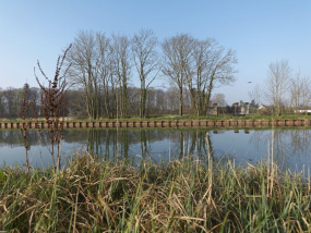 Parc du château de Longecourt donnant sur le canal, le château en arrière-plan. © Région Bourgogne-Franche-Comté, Inventaire du patrimoine