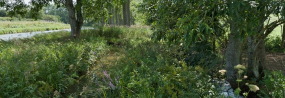 La rigole longeant le canal. © Région Bourgogne-Franche-Comté, Inventaire du patrimoine