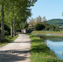 Chemin de halage et site d'écluse en fond. © Région Bourgogne-Franche-Comté, Inventaire du patrimoine