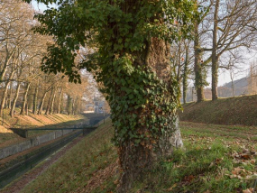 Vue de la tranchée avec la passerelle. © Région Bourgogne-Franche-Comté, Inventaire du patrimoine