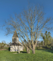 Vue d'ensemble de l'église. © Région Bourgogne-Franche-Comté, Inventaire du patrimoine