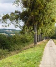 Vue des carrières depuis le chemin de halage. © Région Bourgogne-Franche-Comté, Inventaire du patrimoine