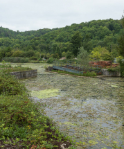 Vue du site, où subsiste l'ossature métallique du pont tournant. © Région Bourgogne-Franche-Comté, Inventaire du patrimoine