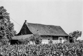 Ferme : vue générale. © Région Bourgogne-Franche-Comté, Inventaire du patrimoine