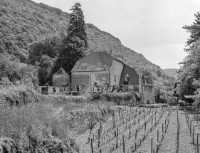 Vue générale depuis l'ouest avec les vignes au premier plan. © Région Bourgogne-Franche-Comté, Inventaire du patrimoine