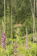 Vue plongeante depuis l'est. © Région Bourgogne-Franche-Comté, Inventaire du patrimoine