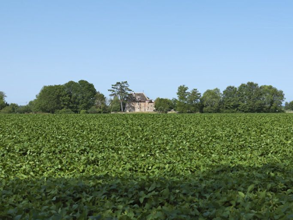 La propriété du moulin des Batteurs vue du canal. © Région Bourgogne-Franche-Comté, Inventaire du patrimoine