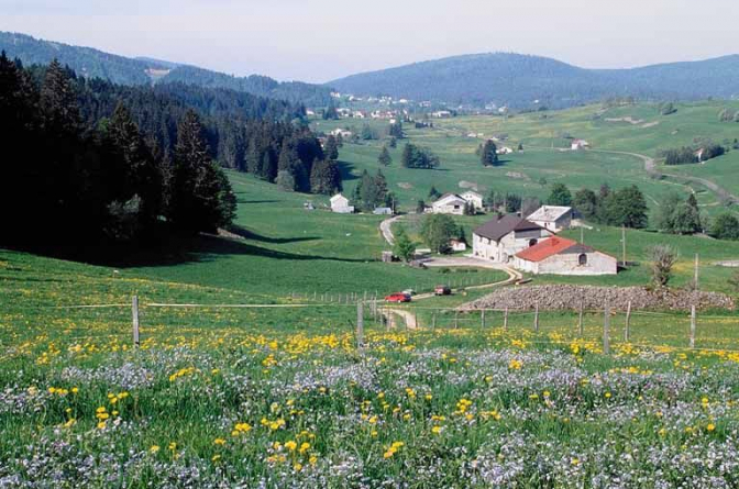 Paysage de combe sur la commune des Rousses. © Région Bourgogne-Franche-Comté, Inventaire du patrimoine