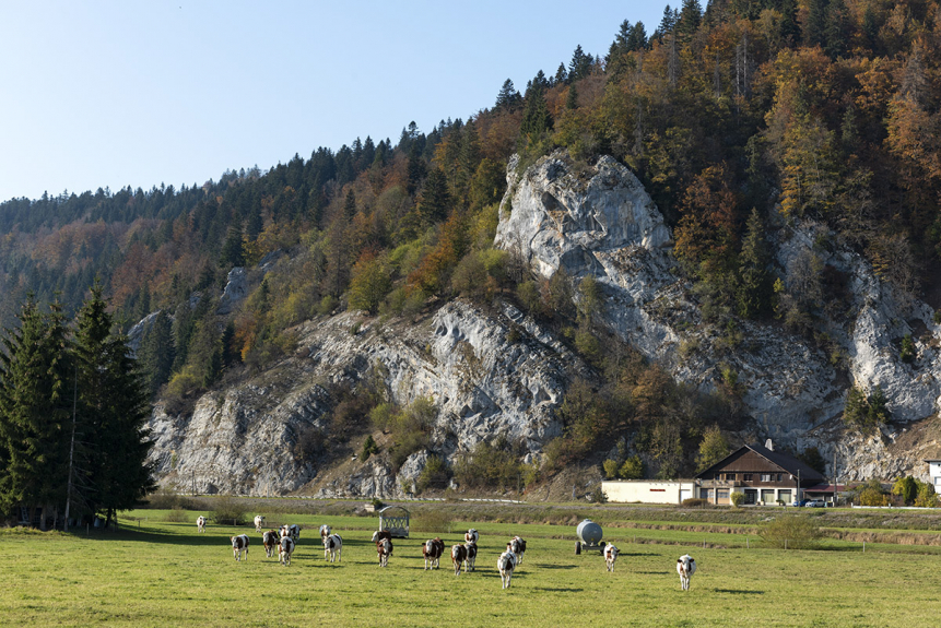 Cave d'affinage Rième, Grand'Combe-Châteleu (25) © phot. S. Dourlot, Région Bourgogne-Franche-Comté, Inventaire du patrimoine, 2018