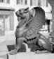 Statues de lions ailés, fontaine de la place Henri Lissac à Morez (39) © phot. Y. Sancey / Région Bourgogne-Franche-Comté, Inventaire du patrimoine, 2003