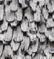 Tavaillons (tuiles de bois) utilisés en bardage de façade - Selles (Val de Saône) © phot. S. Dourlot / Région Bourgogne-Franche-Comté, Inventaire du patrimoine, 2016