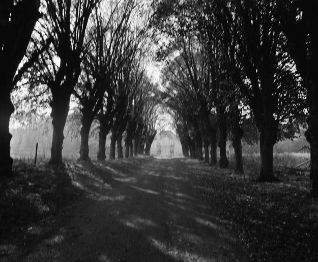 Vue depuis l'allée. © non renseigné / Région Bourgogne-Franche-Comté, Inventaire du patrimoine - 1972