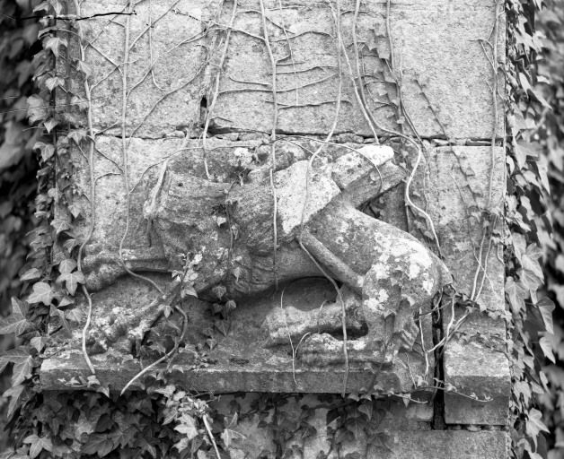 Lion ailé sur un contrefort de la chapelle droite. © Jean-Luc Duthu / Région Bourgogne-Franche-Comté, Inventaire du patrimoine - 1987