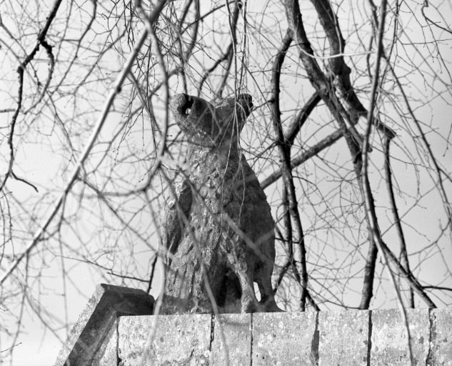 Gargouille sur le contrefort droit du choeur. © Jean-Luc Duthu / Région Bourgogne-Franche-Comté, Inventaire du patrimoine - 1987