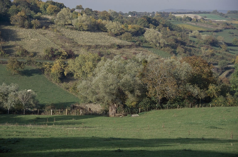  lavoir © Jacques Druart / Région Bourgogne-Franche-Comté, Inventaire du patrimoine - 1998