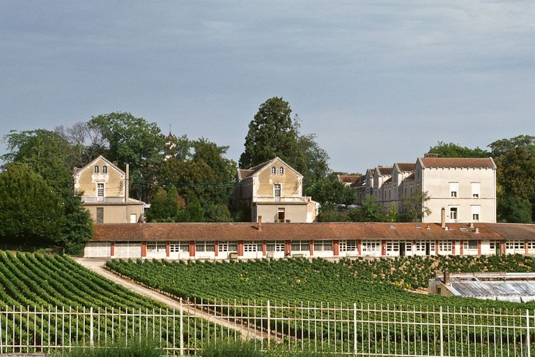 Vue d'ensemble avec les vignes. © Jean-Luc Duthu / Région Bourgogne-Franche-Comté, Inventaire du patrimoine - 2001