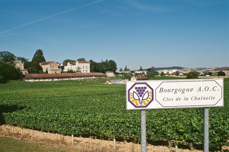 Vue d'ensemble avec les vignes. © Jean-Luc Duthu / Région Bourgogne-Franche-Comté, Inventaire du patrimoine - 2001