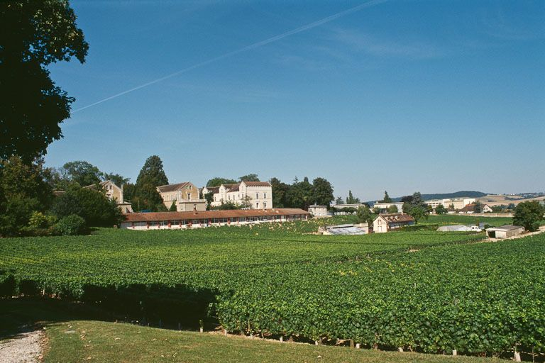 Vue d'ensemble avec les vignes. © Jean-Luc Duthu / Région Bourgogne-Franche-Comté, Inventaire du patrimoine - 2001