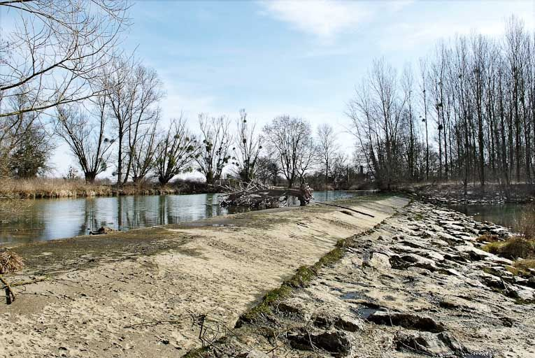 Barrage lié aux moulins de Branges. Traces d'un ancien alignement d'arbres. © Jean-Luc Duthu / Région Bourgogne-Franche-Comté, Inventaire du patrimoine - 2010