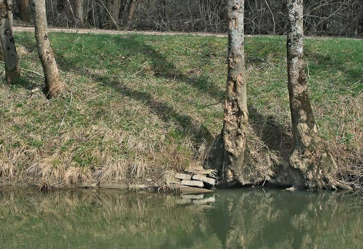 Emplacement de l'aqueduc du Pont à Bascule, désordres dans le perré. © Jean-Luc Duthu / Région Bourgogne-Franche-Comté, Inventaire du patrimoine - 2010
