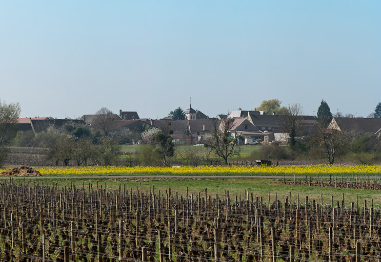 Eglise et village. © Pierre-Marie Barbe-Richaud / Région Bourgogne-Franche-Comté, Inventaire du patrimoine - 2012