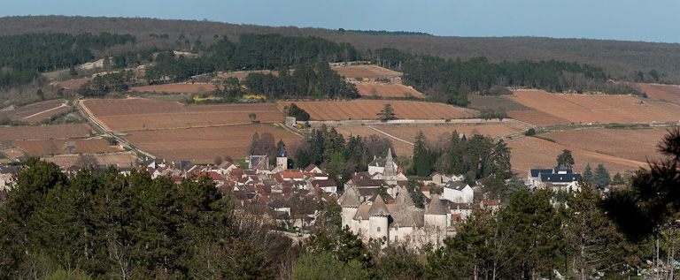 Eglise dans son site. © Pierre-Marie Barbe-Richaud / Région Bourgogne-Franche-Comté, Inventaire du patrimoine - 2012