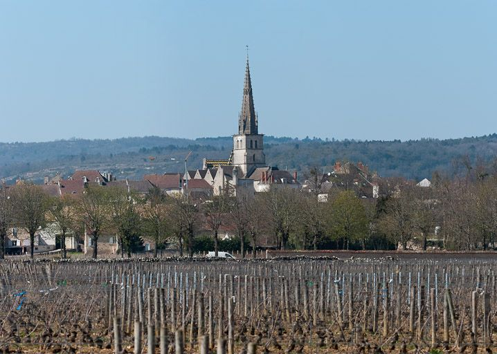 L'église et les vignes au premier plan. © Pierre-Marie Barbe-Richaud / Région Bourgogne-Franche-Comté, Inventaire du patrimoine - 2012