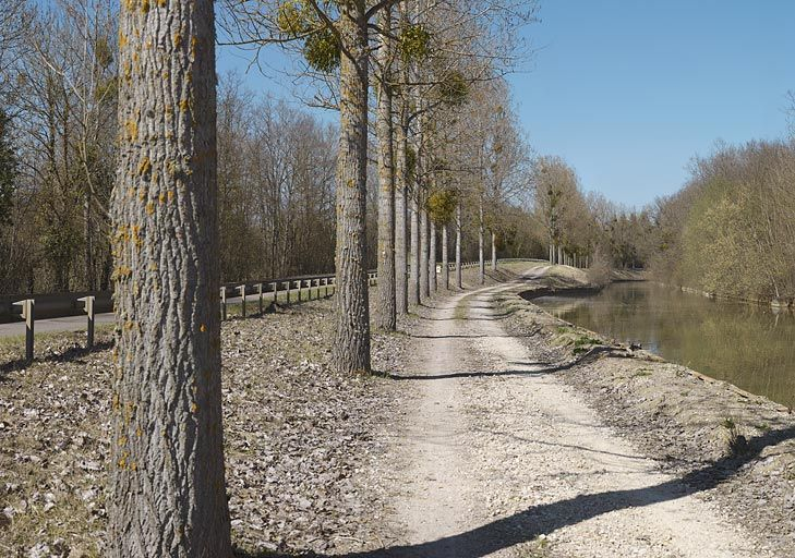 Entrée de la tranchée, séparée de la route par un alignement d'arbres. © Thierry Kuntz / Région Bourgogne-Franche-Comté, Inventaire du patrimoine - 2012