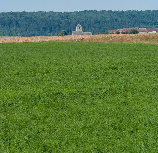 L'église de Chassignelles. © Pierre-Marie Barbe-Richaud / Région Bourgogne-Franche-Comté, Inventaire du patrimoine - 2012