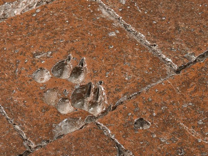  château fort © Thierry Kuntz / Région Bourgogne-Franche-Comté, Inventaire du patrimoine - 2014