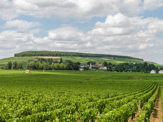 L'église paroissiale Saint-Médard et le site d'Aloxe-Corton. © Pierre-Marie Barbe-Richaud / Région Bourgogne-Franche-Comté, Inventaire du patrimoine - 2016