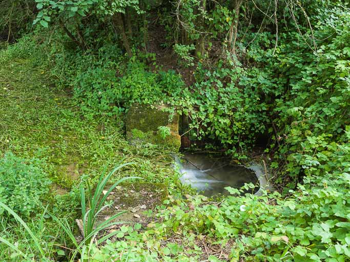 Vue de l'aqueduc dans la végétation. © Pierre-Marie Barbe-Richaud / Région Bourgogne-Franche-Comté, Inventaire du patrimoine - 2017