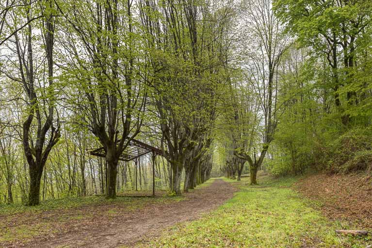 allée © Pierre-Marie Barbe-Richaud / Région Bourgogne-Franche-Comté, Inventaire du patrimoine - 2019
