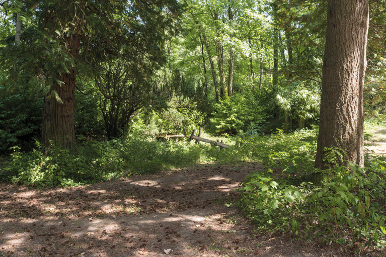bosquet © Pierre-Marie Barbe-Richaud / Région Bourgogne-Franche-Comté, Inventaire du patrimoine - 2019