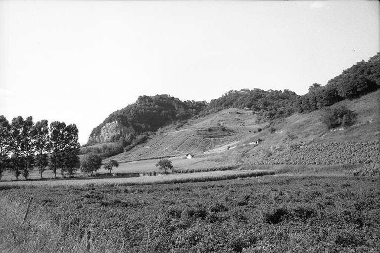 Village vu depuis Nevy-sur-Seille. © F. Pernin / Région Bourgogne-Franche-Comté, Inventaire du patrimoine - 1974