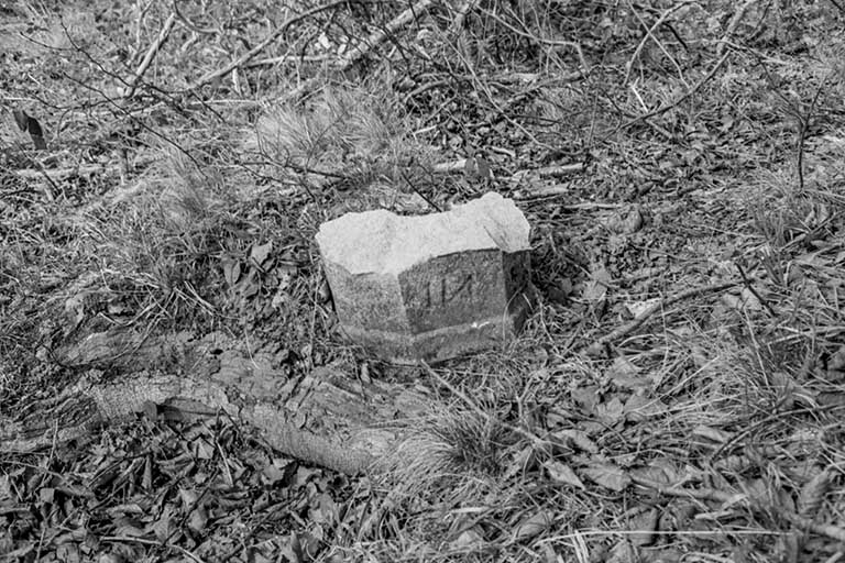 Borne de cimetière, calcaire, XVe ou XVIe siècle : fragment © Guy Forestier / Région Bourgogne-Franche-Comté, Inventaire du patrimoine - 1974