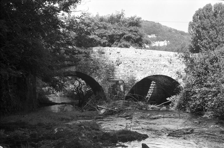 Vue générale. © Guy Forestier / Région Bourgogne-Franche-Comté, Inventaire du patrimoine - 1974