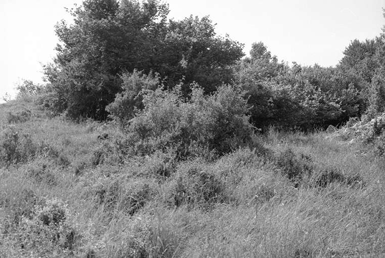 Détail du site. © Gilbert Poinsot / Région Bourgogne-Franche-Comté, Inventaire du patrimoine - 1975