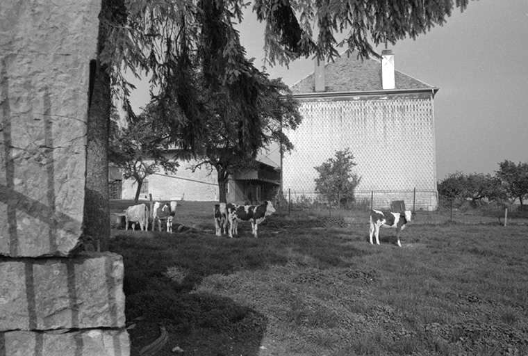 Façade latérale gauche des parties agricoles. © Gilbert Poinsot / Région Bourgogne-Franche-Comté, Inventaire du patrimoine - 1976 Façade latérale gauche des parties agricoles. © Gilbert Poinsot / Région Bourgogne-Franche-Comté, Inventaire du patrimoine - 1976