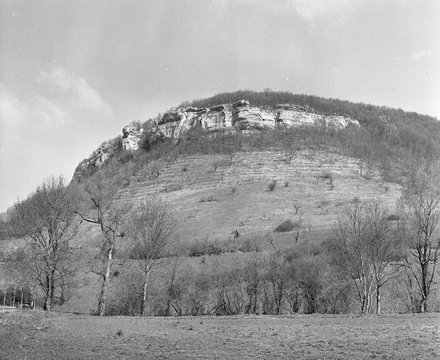 Falaise (le bois de Gougnot) entre Ornans et Montgesye, vue rapprochée. © Yves Sancey / Région Bourgogne-Franche-Comté, Inventaire du patrimoine - 1977