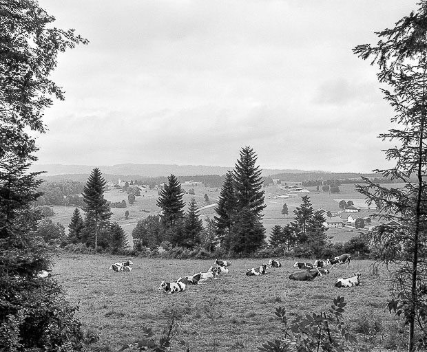 Les Combes : vue d'ensemble du village de la Motte et des hameaux du Bas de la Motte et des Paquets. © Yves Sancey / Région Bourgogne-Franche-Comté, Inventaire du patrimoine - 1977
