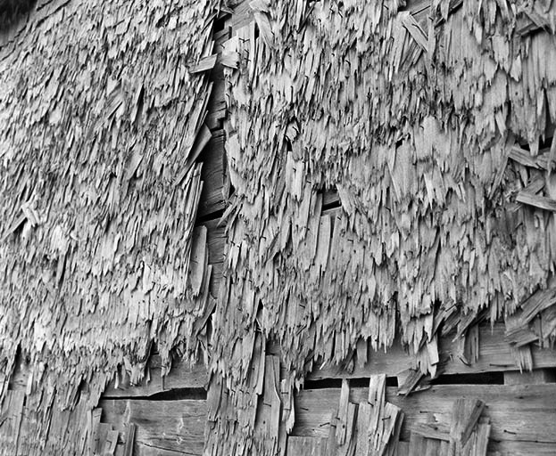 Tavaillons de la façade latérale droite. © Yves Sancey / Région Bourgogne-Franche-Comté, Inventaire du patrimoine - 1978