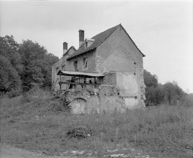 Vestiges de l'usine de Lafeschotte du Haut en 1981. Vue depuis le sud-ouest en 1981. © Yves Sancey / Région Bourgogne-Franche-Comté, Inventaire du patrimoine - 1981