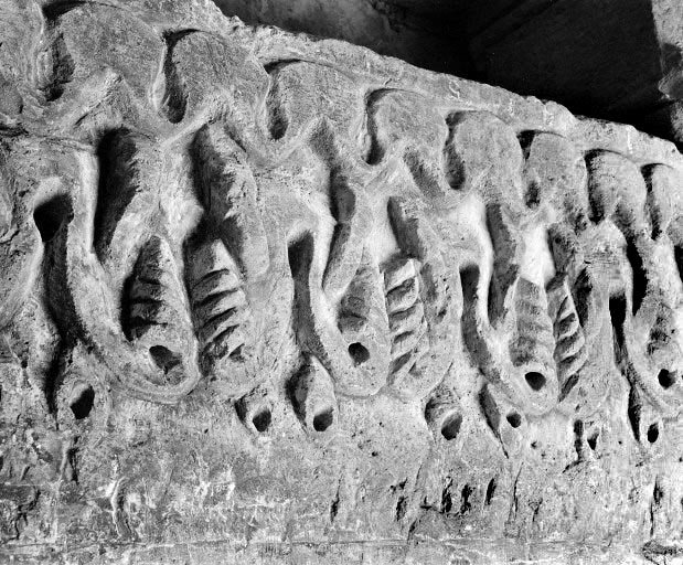 Détail. © Yves Sancey / Région Bourgogne-Franche-Comté, Inventaire du patrimoine - 1982