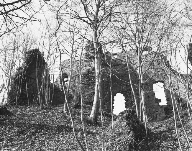 Vue générale des ruines du donjon. © Yves Sancey / Région Bourgogne-Franche-Comté, Inventaire du patrimoine - 1983
