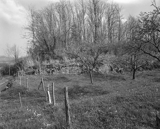 Vue des vestiges depuis le sud. © Jérôme Mongreville / Région Bourgogne-Franche-Comté, Inventaire du patrimoine - 1985